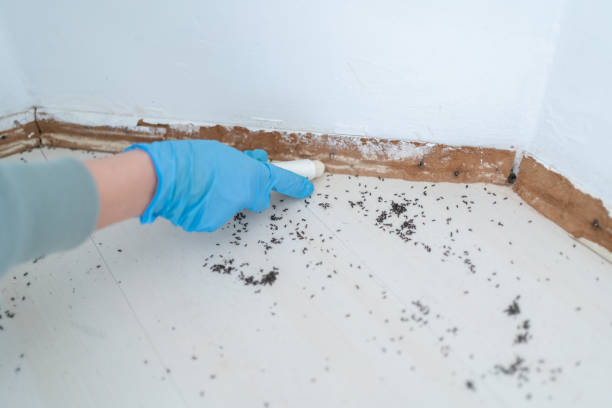 Professional Pest control in Coopersburg, PA